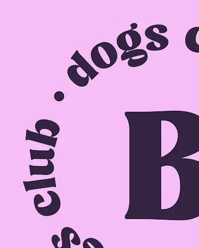 Barksy – stylowe akcesoria dla psów szyte w Polsce